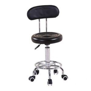 Stool with Back Rest