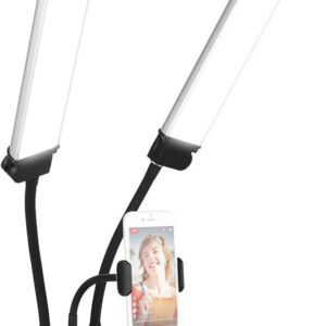 Double Arm light
